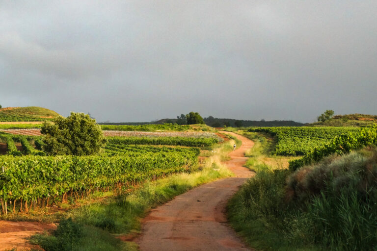 Vita-in-cammino-di-santiago-de-compostela-camminare-trekking-sentieri-italia-europa-spagna-Castillia-y-leon-Paesaggi-de-la-rioja