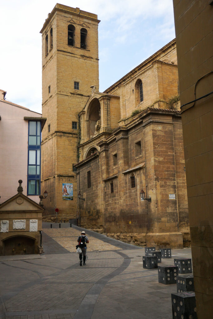 Vita-in-cammino-di-santiago-de-compostela-camminare-trekking-sentieri-italia-europa-spagna-Navarra-Logroño