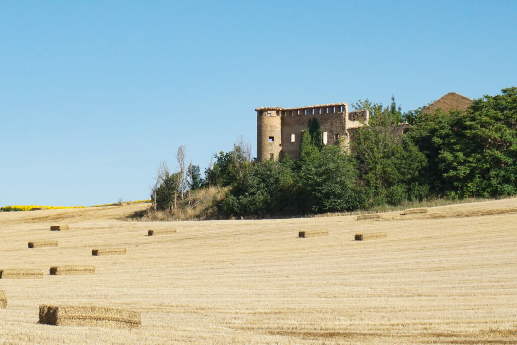 Vita-in-cammino-di-santiago-de-compostela-camminare-trekking-sentieri-italia-europa-spagna-Navarra-PAesaggio-fuori-pamplona